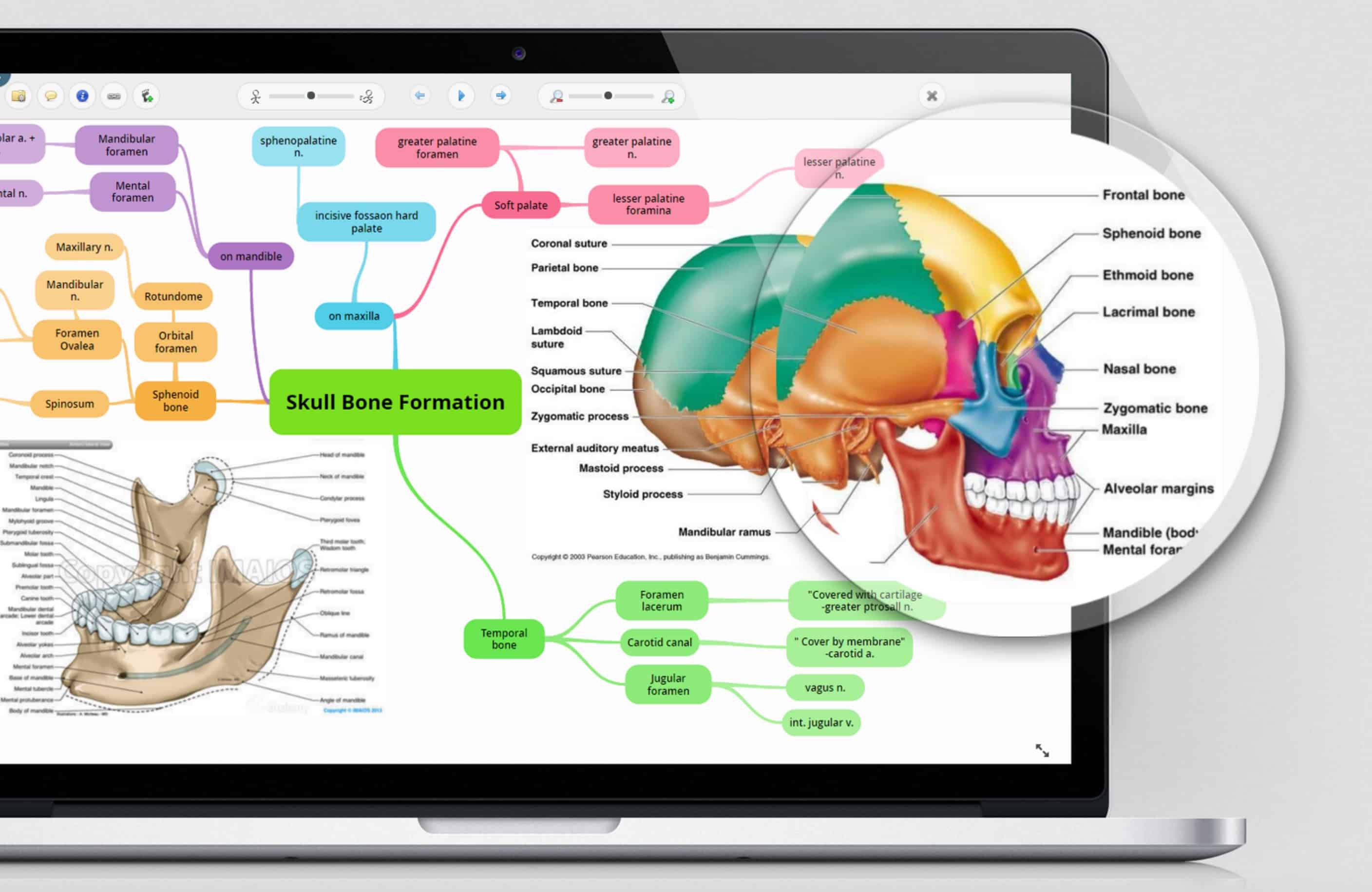 Great essays 4 student tools